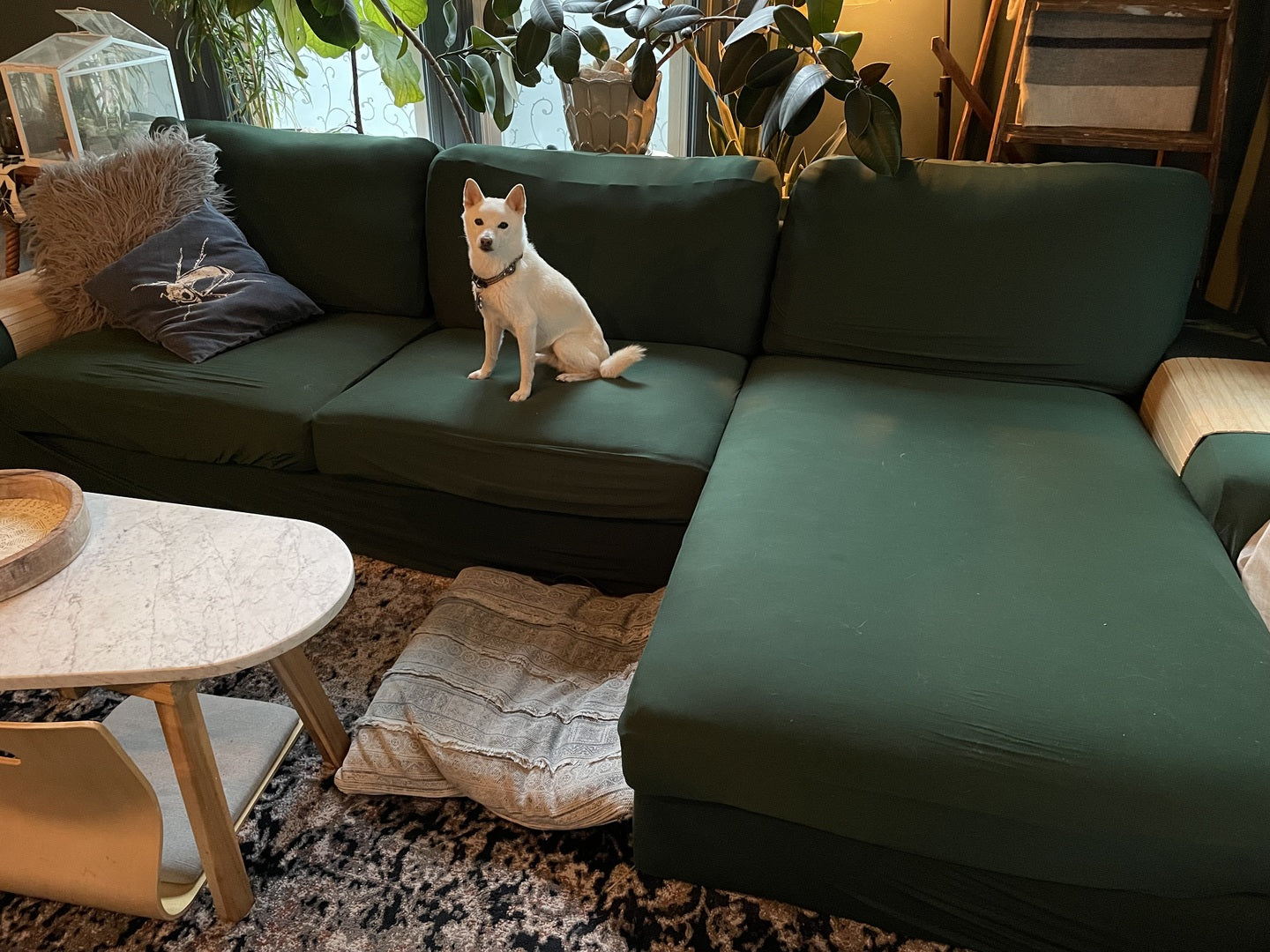 pet proof couch covers